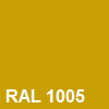 1005